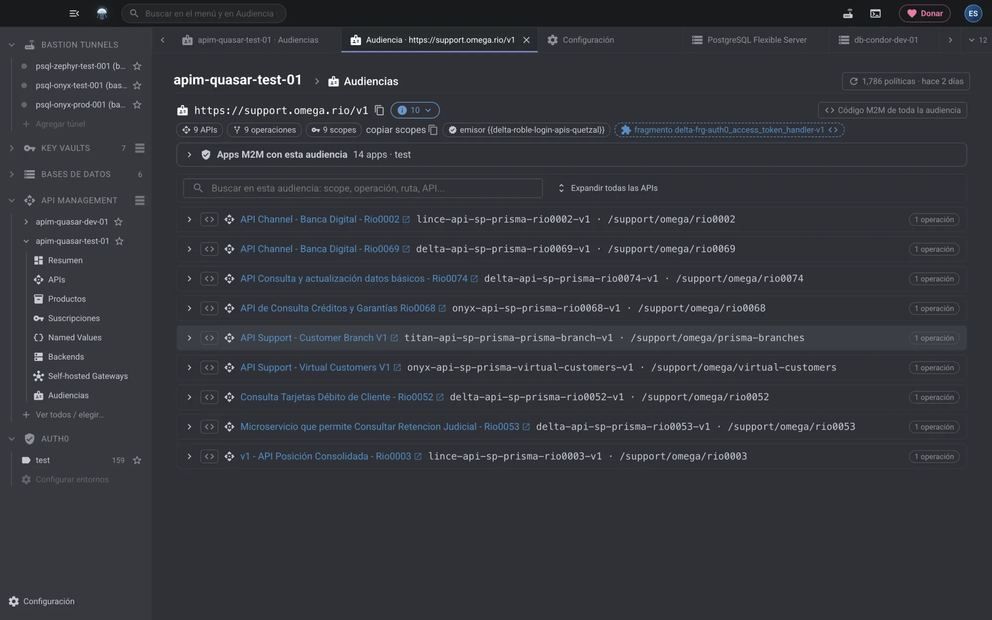 Detalle de una audiencia con sus APIs y operaciones