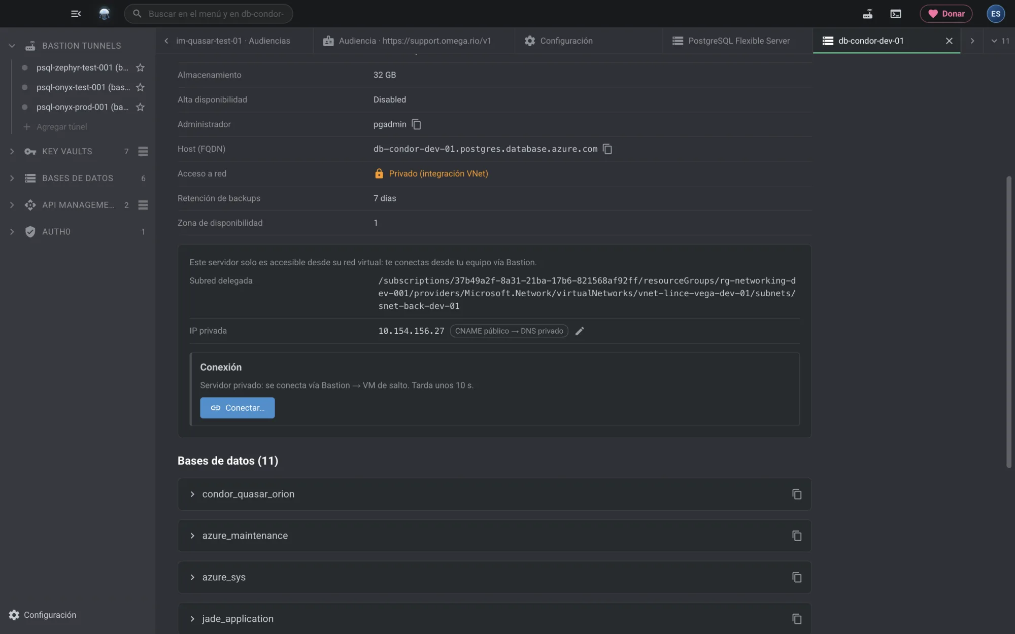 Detalle de un PostgreSQL privado con su conexión vía Bastion